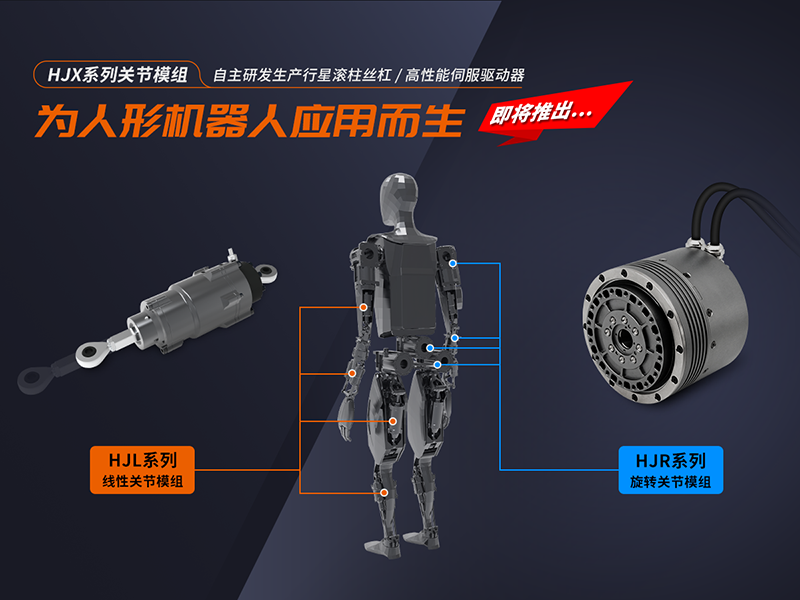 人形机器人关节