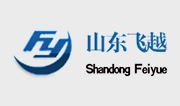 山东飞越