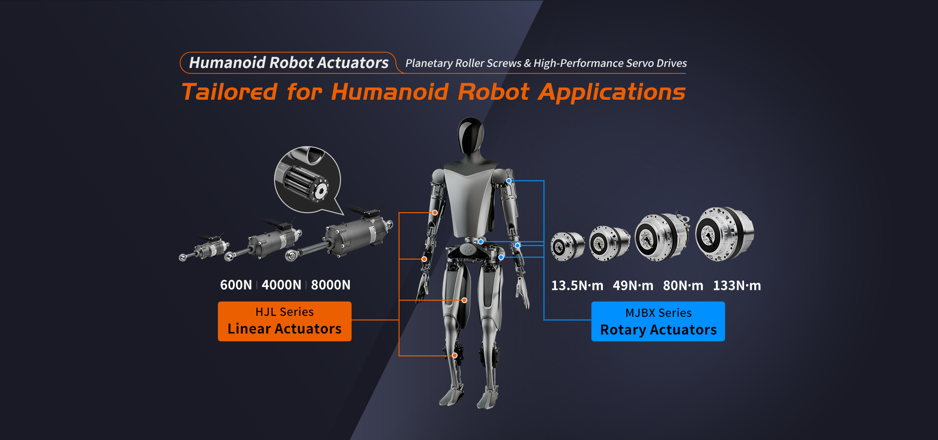 Humanoid Robot Actuators